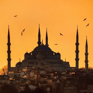 黑人大鷄巴一級黃大雞巴
